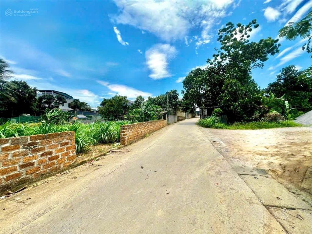 Chính em bán lô đất diện tích396m2 thổ cư 150m2 mặt tiền 11m tại xã yên bài ba vì hà nội