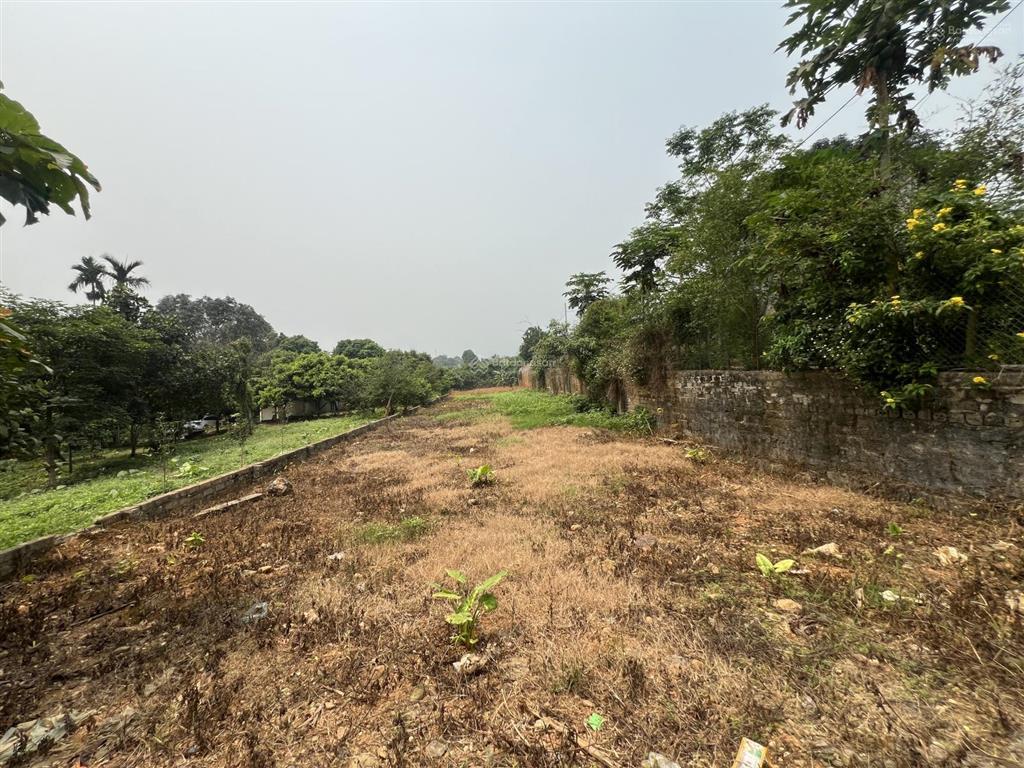 Chính chủ nhờ bán lô đất 757m2 thổ cư 75m2
 vị trí tại thôn muồng cháu xã yên bài ba vì hà nội