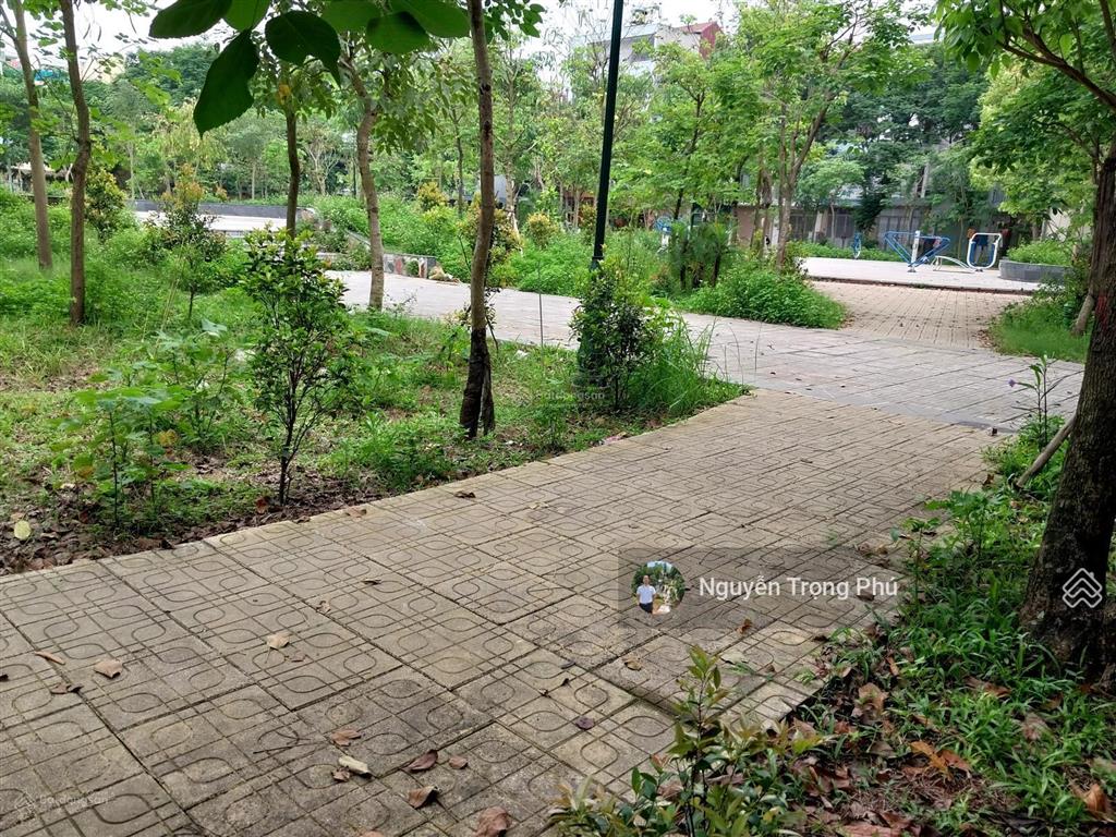 Nhà khu đất dịch vụ đào đất hàng bè p. kiến hưng  hà đôngkdvỉa hèdt 50m2x5tmt 4mgiá 13,5 tỷ
