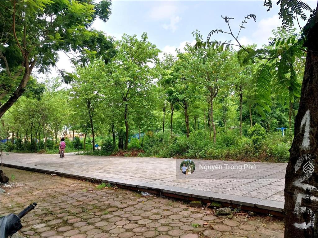 Nhà khu đất dịch vụ đào đất hàng bè p. kiến hưng  hà đôngkdvỉa hèdt 50m2x5tmt 4mgiá 13,5 tỷ