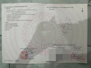 Cần bán 156m2 đấu giá tại suối rồng phường đồ sơn, hải phòng.