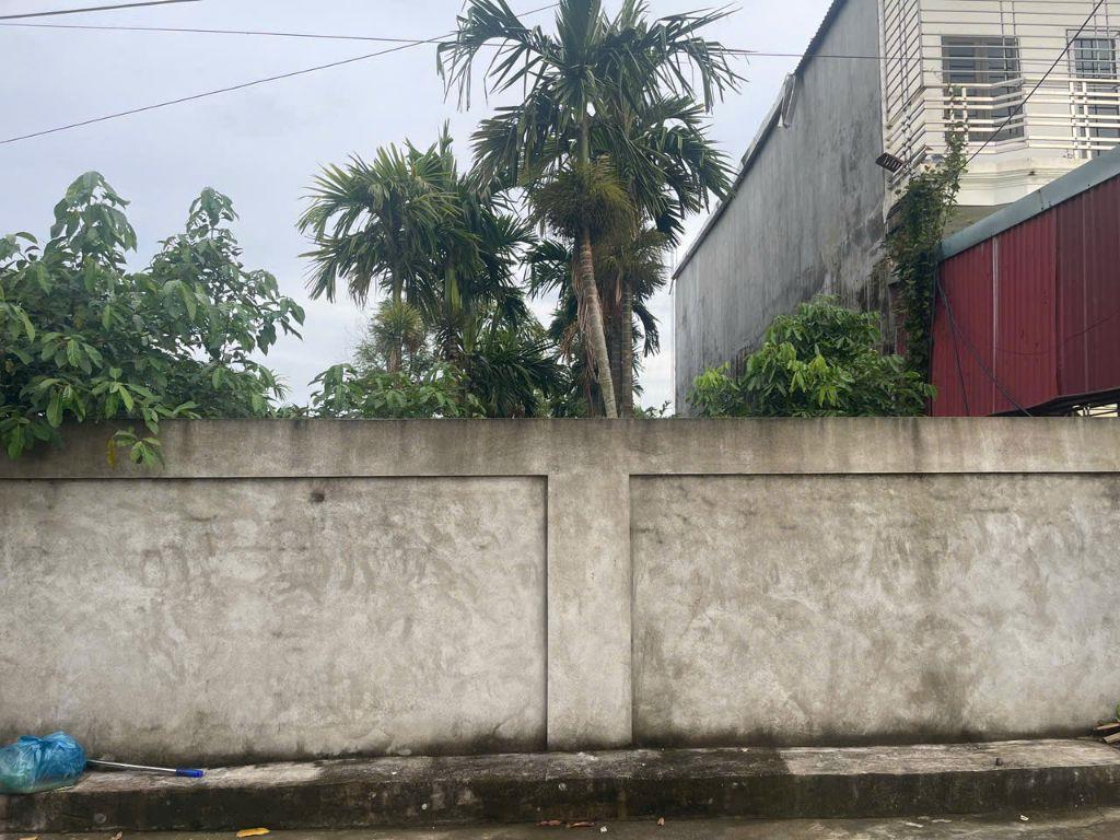 🆘🆘🆘Siêu phẩm nhà vườn gần 400m, đường rộng 5m Nam Đồ Sơn, Hải Phòng 