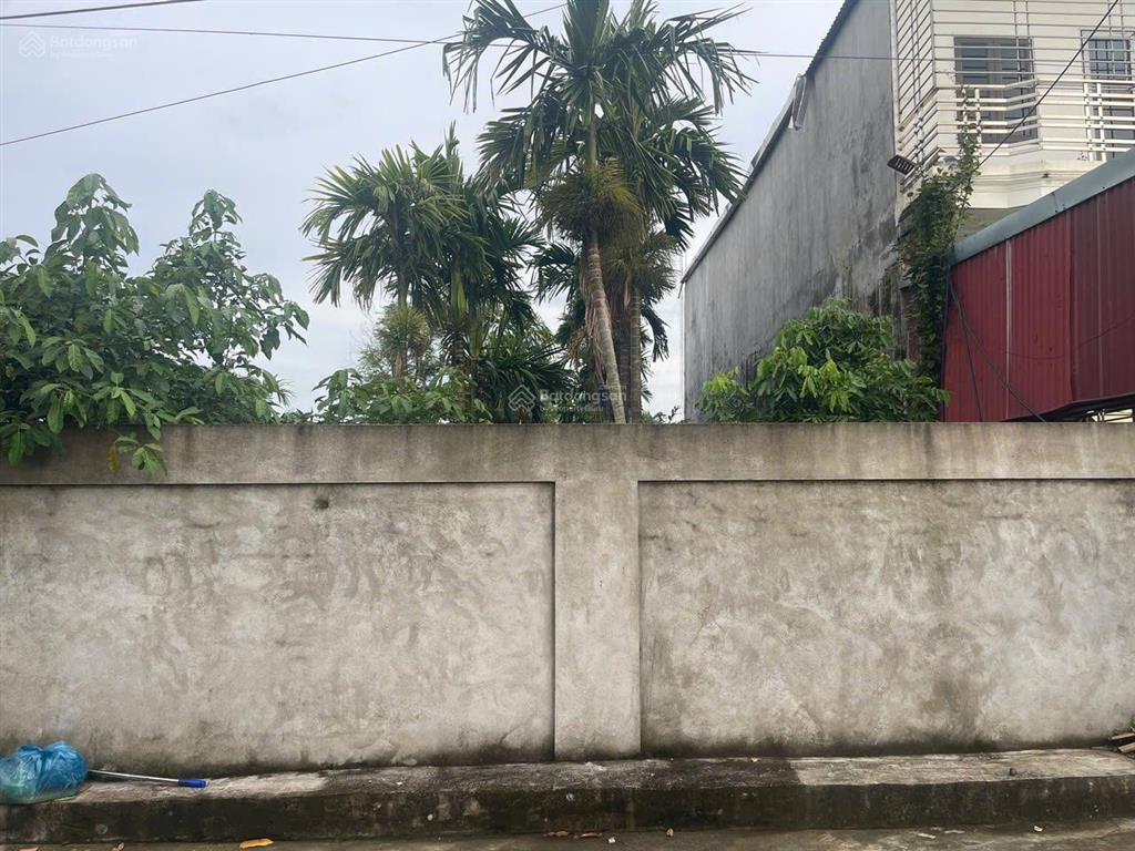 Siêu phẩm nhà vườn gần 400m2, đường rộng 5m nam đồ sơn, hải phòng