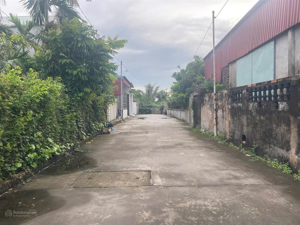 Siêu phẩm nhà vườn gần 400m2, đường rộng 5m nam đồ sơn, hải phòng