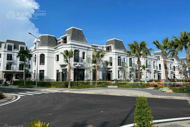 Hàng hiếm bán gấp chính chủ biệt thự amelie phú mỹ hưng  diện tích 10x20m giá 19 tỷ, có sổ hồng