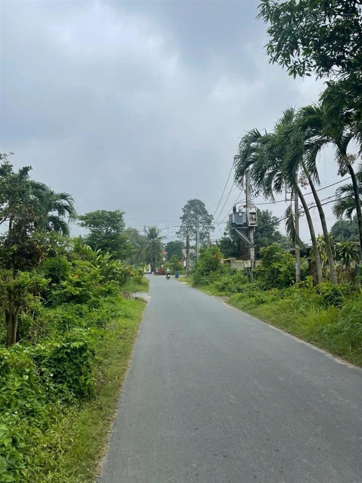 300m2 thổ cư 100m đường nhựa hiện hữu