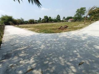 500m2 có thổ cư gốc 2mt bê tông