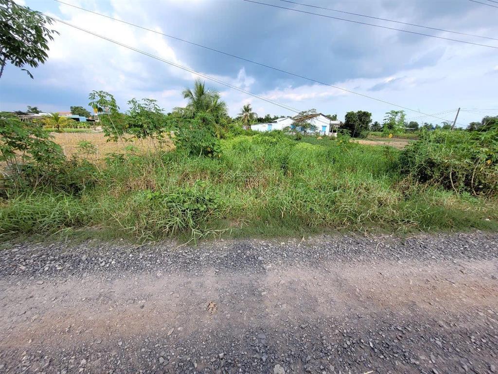 Bán đất 1000m2 tại xã long khê, cần đước, long an, giá ưu đãi 8 tỷ vnd