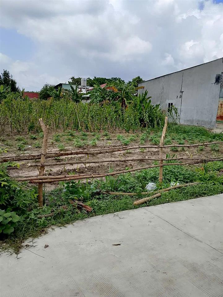 Chính chủ bán 388m2 đường xe hơi, thổ cư 120m2. khu dân cư hiện hữu, quy hoạch đường ô bàn cờ.