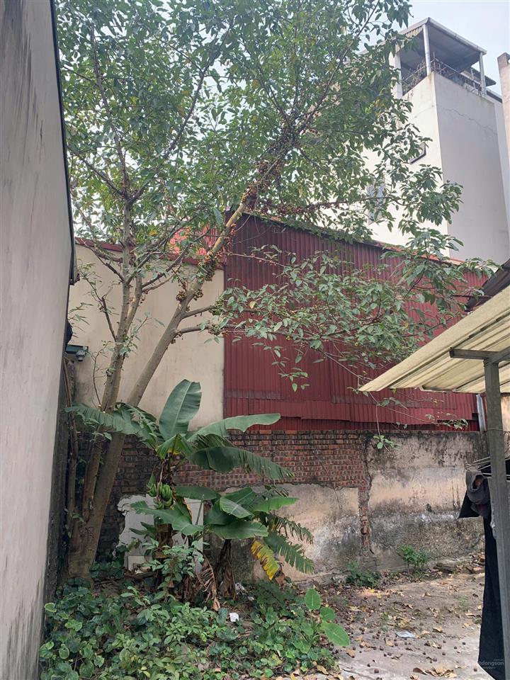 Bán đất, đất ở đô thị, hoa lâm