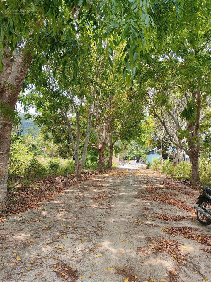 Bán 120m2 đất đường búng gội 2 mặt tiền  cách bãi tắm ông lang 5km