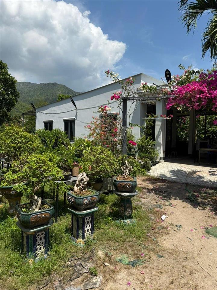 Bán đất ngay tttp nha trang hơn 1,7ha làm khu nghĩ dưỡng,spa, giải trí... giá đầu tư.  0905 050 ***