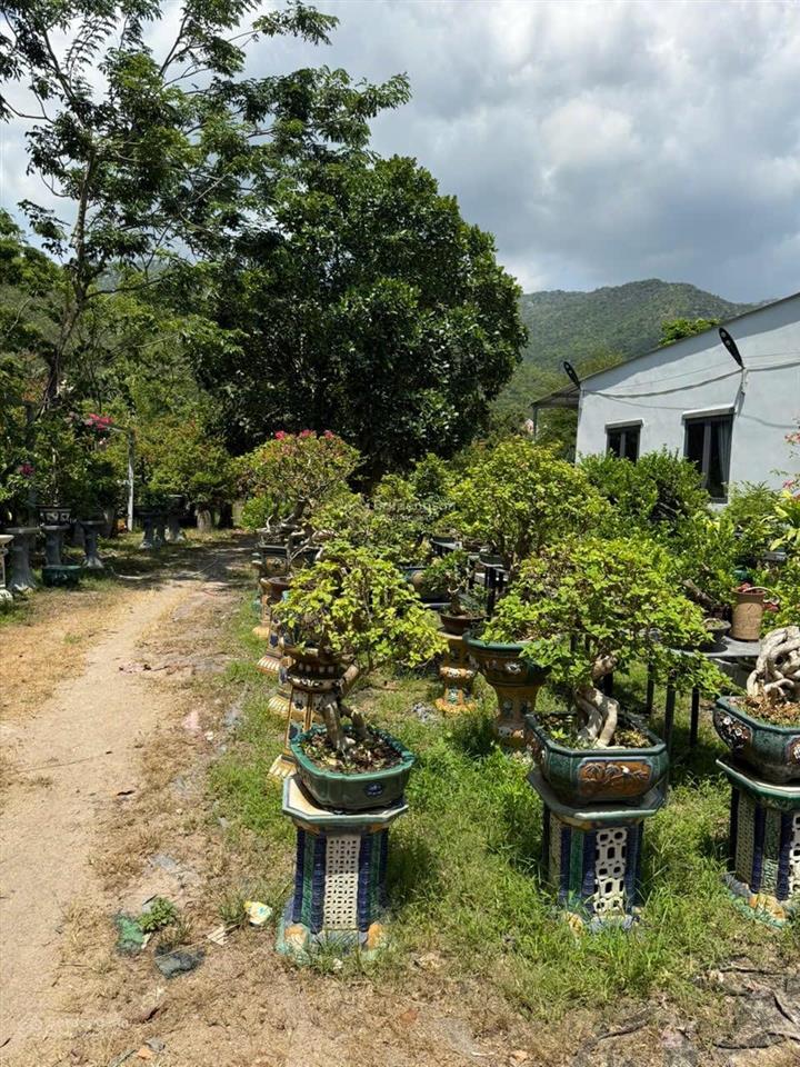 Bán đất ngay tttp nha trang hơn 1,7ha làm khu nghĩ dưỡng,spa, giải trí... giá đầu tư.  0905 050 ***