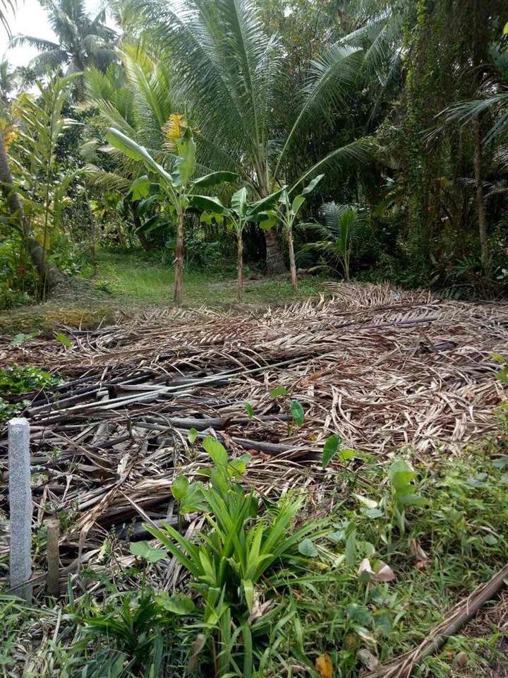 ngay chủ cần bán