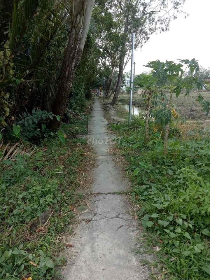ngay chủ cần bán