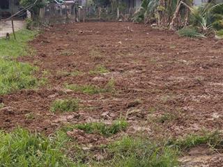 Bán đất tại xã đại hòa, 260 triệu, 280 m2, mặt tiền 6m, ngõ 3m