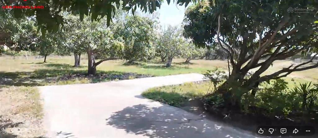 Bđs tiềm năng tăng trưởng vùng kinh tế bắc vân phong khánh hòa  13 hec đất vườn  mặt đường qh 23m