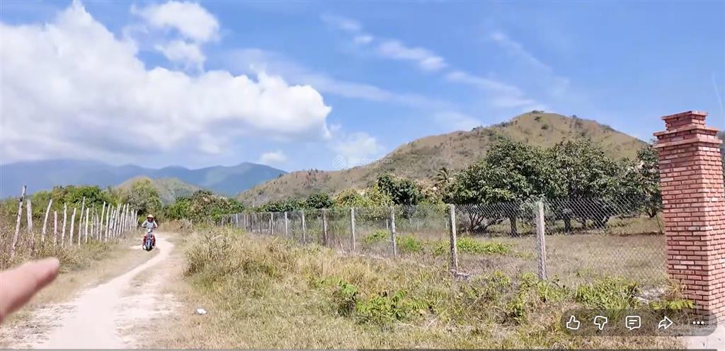 Bđs tiềm năng tăng trưởng vùng kinh tế bắc vân phong khánh hòa  13 hec đất vườn  mặt đường qh 23m