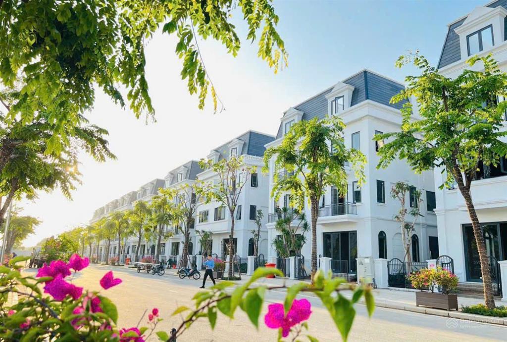 Bán biệt thự song lập dương nội hà đông hướng đông nam 26 tỷ vnd, 170m2, 4 tầng