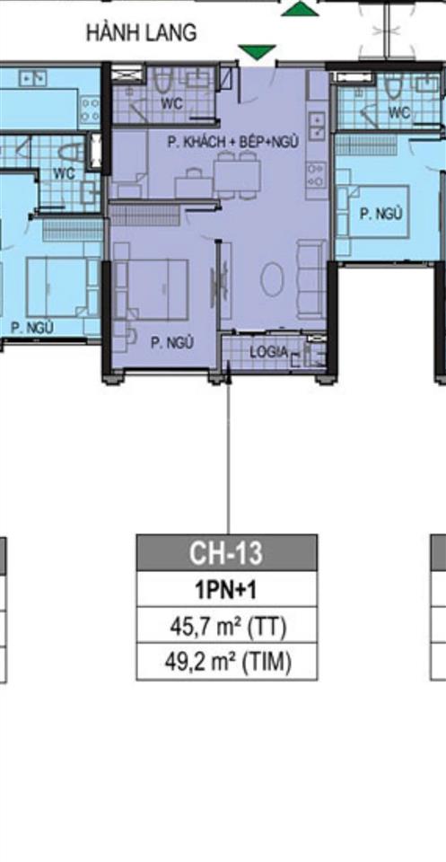 Ko thể rẻ hơn căn 1pn+1 46m2 thông thủy tầng cao view thoáng giá chỉ 3,15 tỷ phân khu cao cấp paris