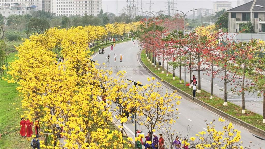 Căn hộ chung cư le parc place đẹp nhất tại park city hà nội