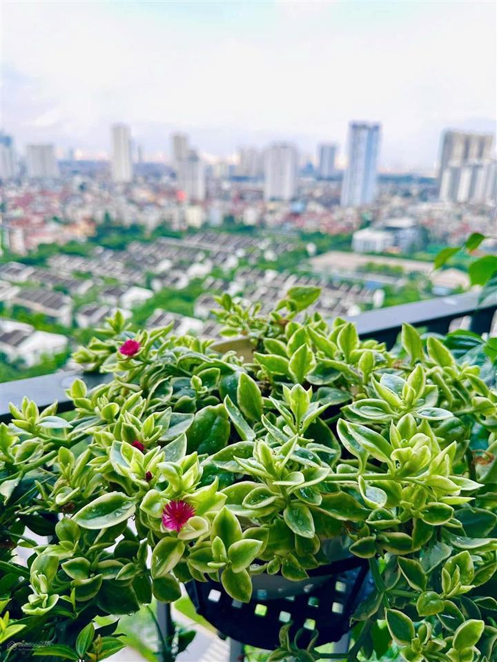Bán căn hộ chung cư cao cấp 3pn full nội thất tại park city chỉ hơn 13 tỷ sẵn 2 slot ô tô