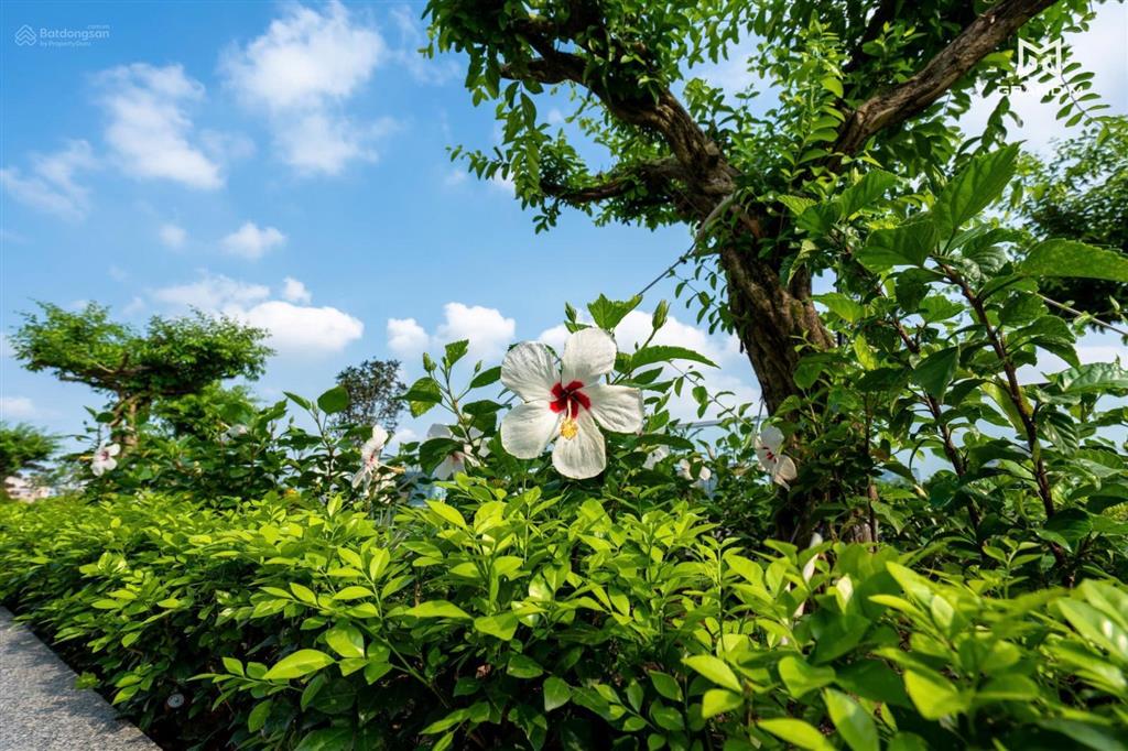Bán chung cư 2pn gloria p. giảng võ full đồ mới giá từ 7,9 tỷ