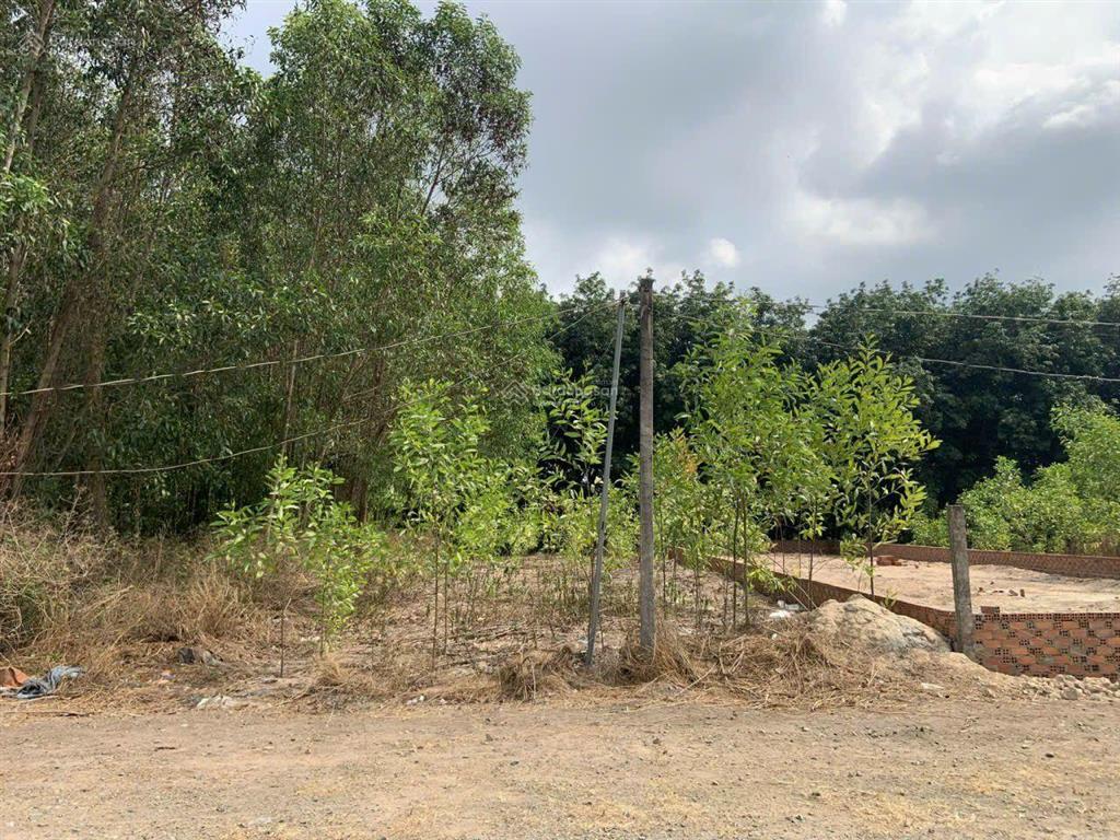 Chủ ngộp nặng  cần bán gấp trong 20 ngày  giá chốt cực rẻ!