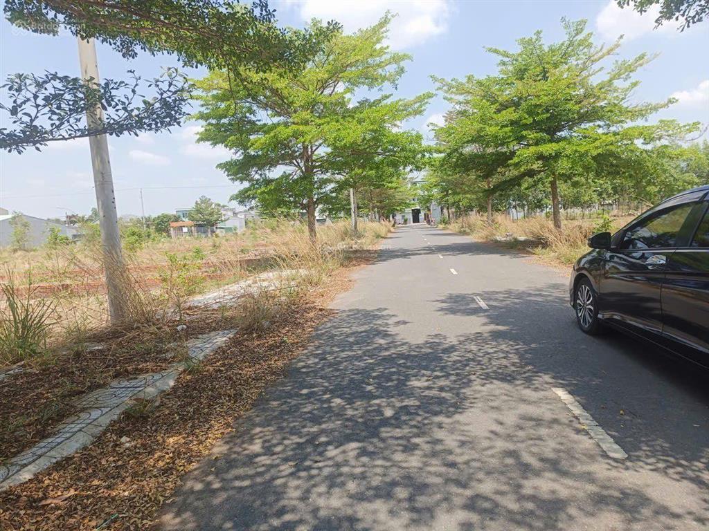 Dừng lại! cơ hội làm giàu "cận kề" cao tốc