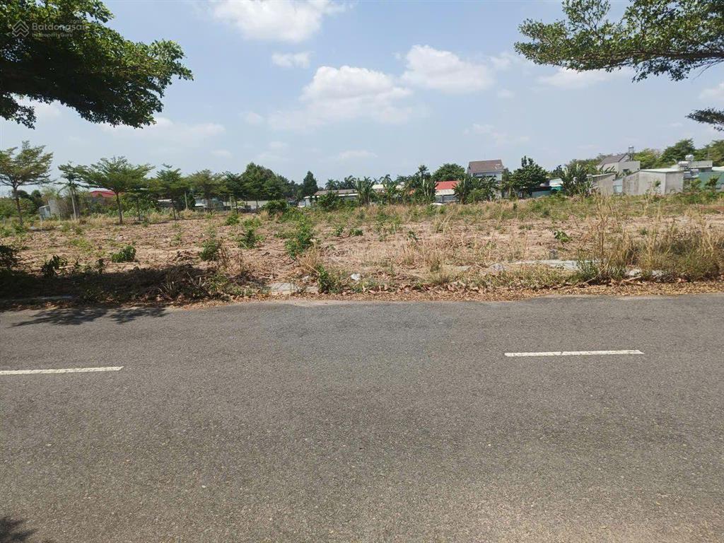 Dừng lại! cơ hội làm giàu "cận kề" cao tốc