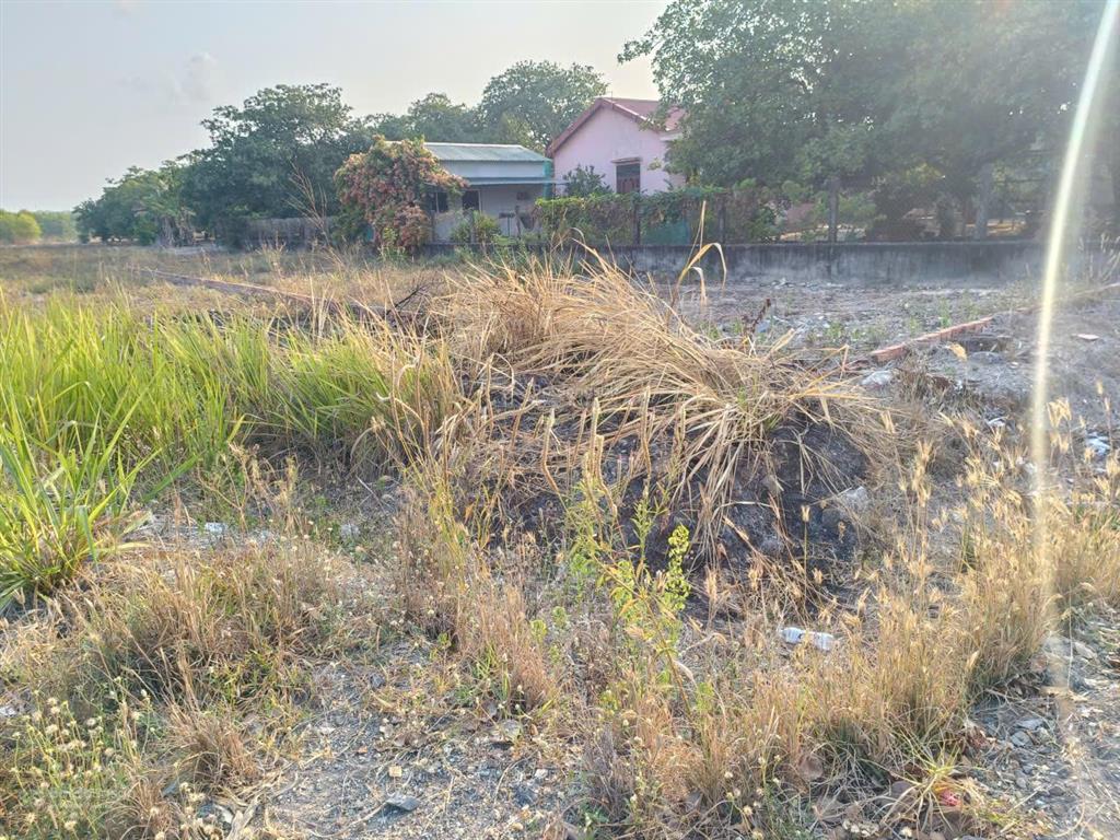 Sau 20 ngày nếu chưa bán được, chủ sẽ ngưng