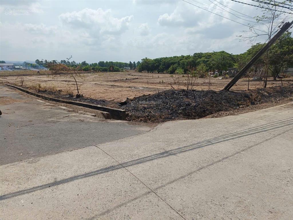 Bán đất tại phú mỹ  tóc tiên, 8 tỷ, 5585 m2, pháp lý đầy đủ, hướng tây nam