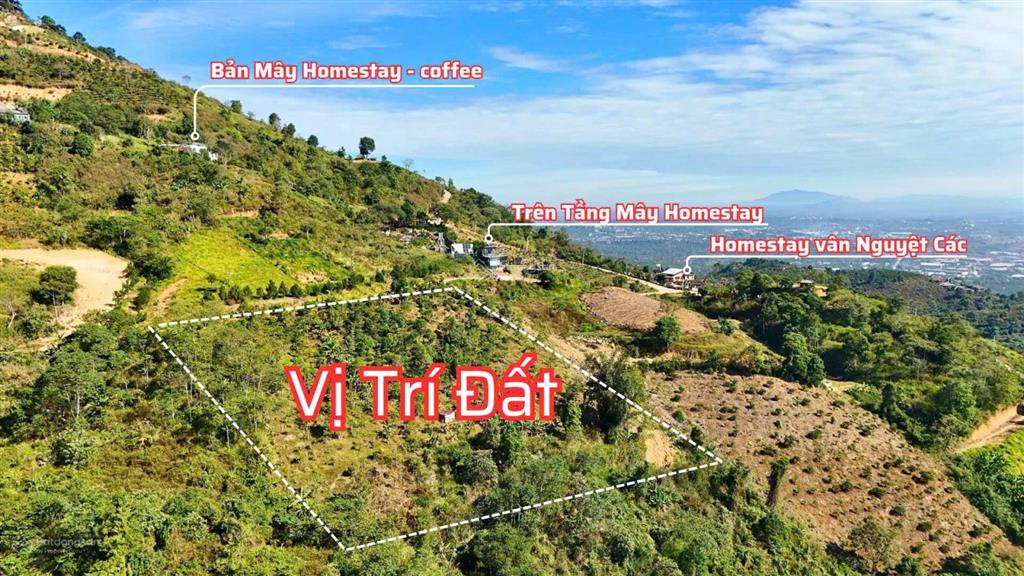 Bán lô đất siêu rẻ 1000m2 giá chỉ 1,2 tỷ săn mây gần thành phố bảo lộc