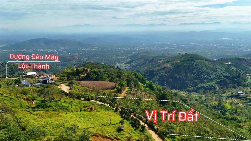 Bán lô đất siêu rẻ 1000m2 giá chỉ 1,2 tỷ săn mây gần thành phố bảo lộc
