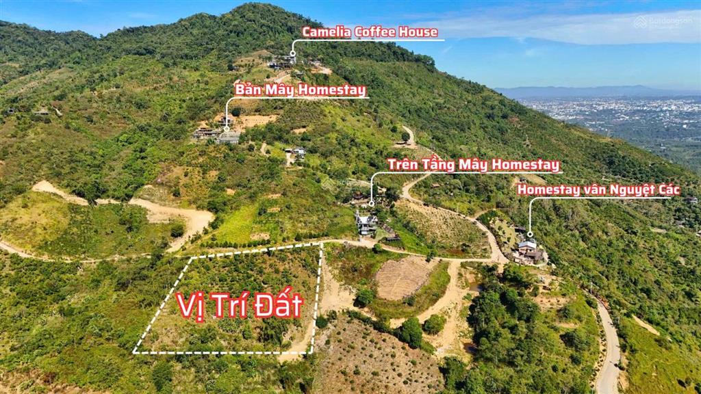 Bán lô đất siêu rẻ 1000m2 giá chỉ 1,2 tỷ săn mây gần thành phố bảo lộc