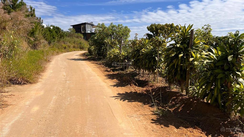 Bán lô đất siêu rẻ 1000m2 giá chỉ 1,2 tỷ săn mây gần thành phố bảo lộc