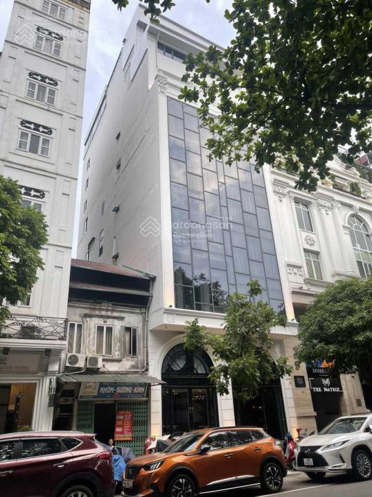 Bán gấp nhà 230m2 xây mới hơn 10 tầng mặt phố triệu việt vương