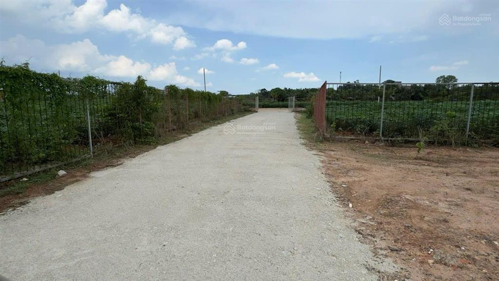Cần bán gấp 1,2 ha đất, đã có 550 m2 thổ, phường hắc dịch, phú mỹ, brvt. giá 17,5 tỷ.  0936 116 ***