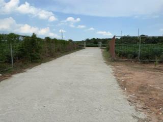 Cần bán gấp 1,2 ha đất, đã có 550 m2 thổ, phường hắc dịch, phú mỹ, brvt. giá 17,5 tỷ.  0936 116 ***
