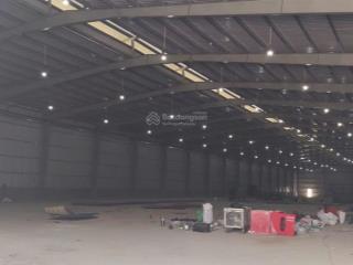 Cho thuê kho xưởng dt 2500m  5500m khung zamil cao 913m, pccc tự động nghiệm thu, xe công ra vào