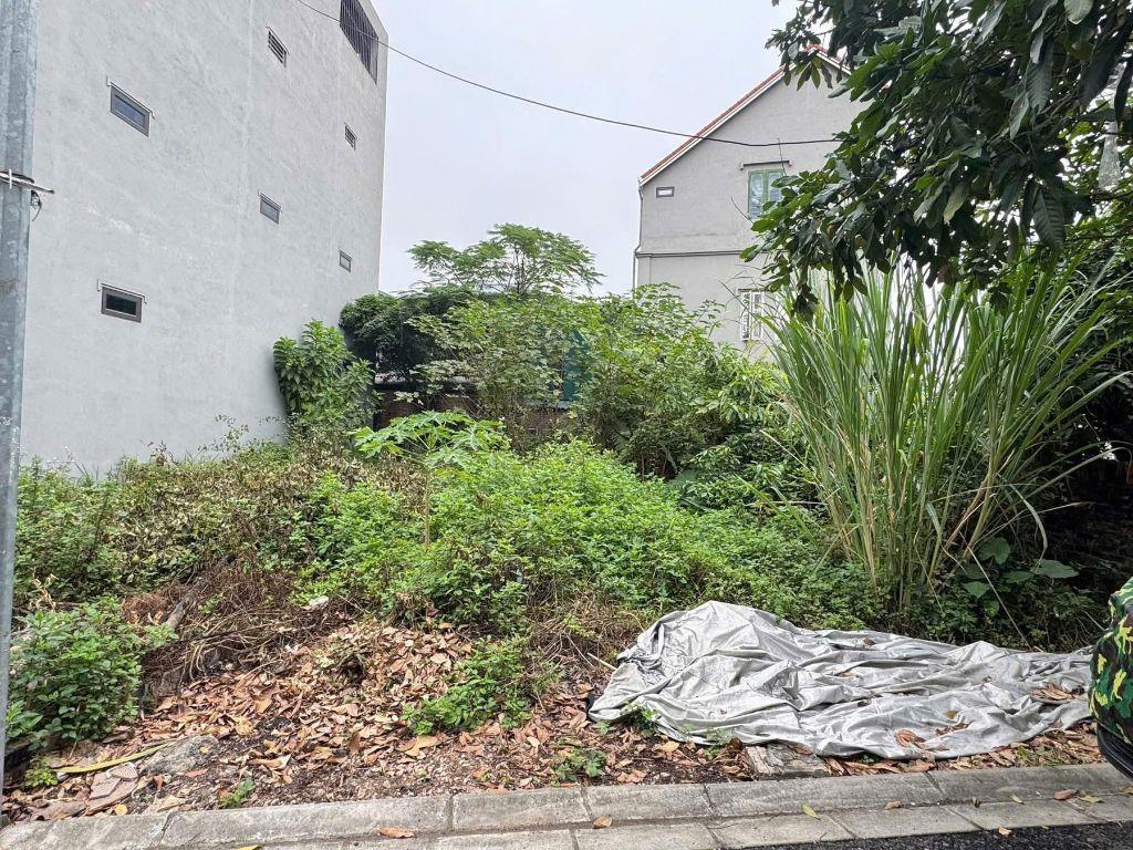 Bán giúp anh trai mảnh đất thổ cư đường ô tô vào tận nơi tại trung tâm thôn Ngọc Động, Đa Tốn, Gia Lâm 