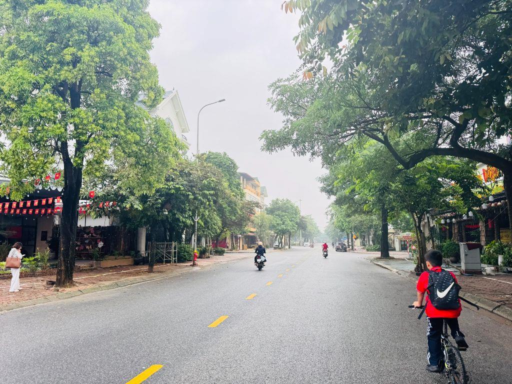 Sang nước ngoài sinh sống cần bán gấp lô góc hai mặt thoáng mặt phố Cửu Việt, Trâu Qùy, Gia Lâm