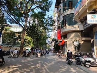 Bán tòa nhà 7 tầng phố nguyên hồng, 65m2 x 7t, mặt tiền 5m, thang máy.