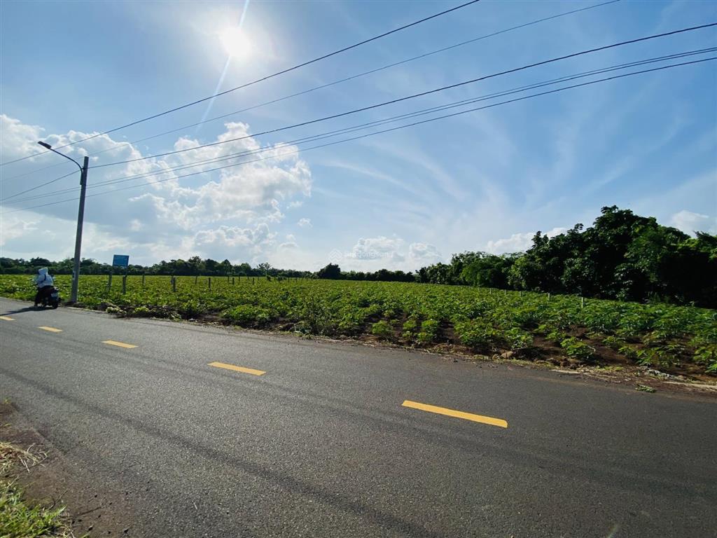 Thị trấn đất đỏ, 777m2 (9x93), 60m2 thổ cư, giá chỉ 1tỷ3, đường nhựa phạm duy trinh