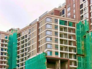 Bán căn hộ chung cư elysian, 4ty850 diện tích 81 m2(2pn,2wc) hướng nam lịch thanh toán 50% nhận nhà
