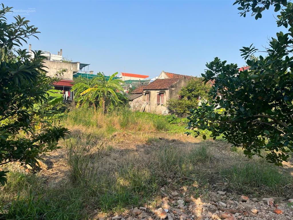 Chính chủ bán đất xóm đông, thành lợi, vụ bản nam định