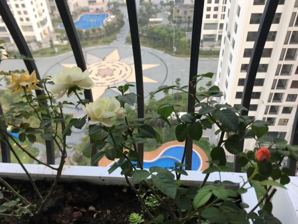 Cho thuê căn hộ chung cư An Binh City căn góc 82m 3pn full đồ sẵn nhà ở ngay