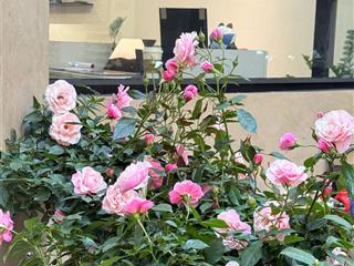 59.5 tỷ biệt thự sài đồng, long biên an sinh đẳng cấp  gần hồ công viên  thang máy  ở sướng