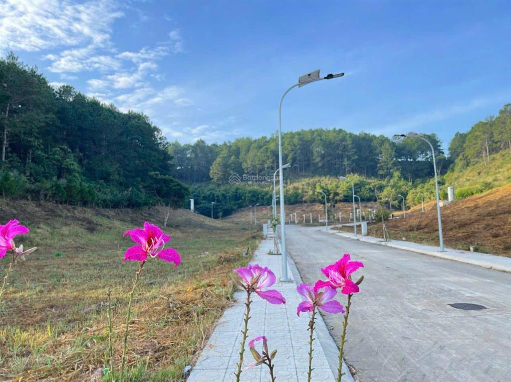 Đất thổ cư ngoại ô đà lạt. đất full hạ tầng. gần sân bay, nút giao cao tốc. giá đầu tư