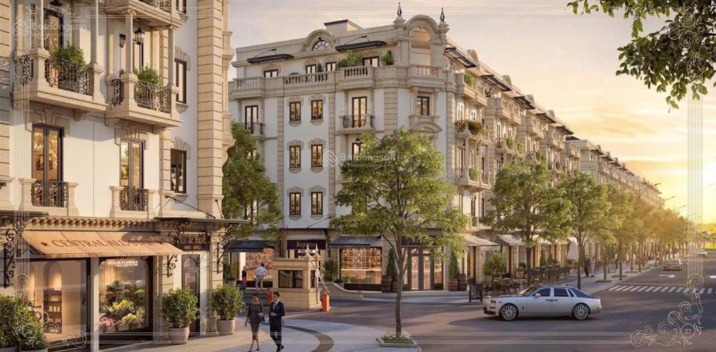 Mở bán liền kề biệt thự the presiden park cạnh vin gren bay trực tiếp từ cđt . 0822 281 ***